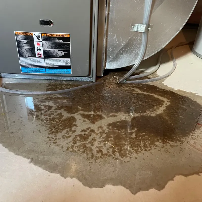 Appliance Leak Cleanup in Guayama, PR